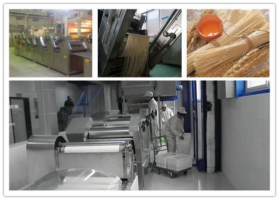 Chine Chaîne de production végétale sèche de vermicellis de nouille de bâton rendement élevé automatique fournisseur