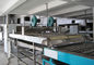 Vermicellis complètement automatiques d'utilisation sûre faisant la chaîne de production de nouille de machine fournisseur