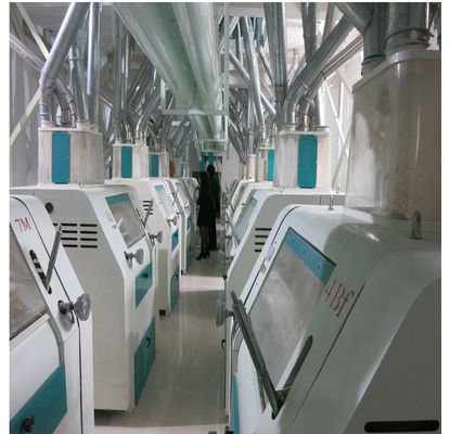 Chine Nouille automatique de haute précision faisant à machine la consommation de basse énergie/travail fournisseur