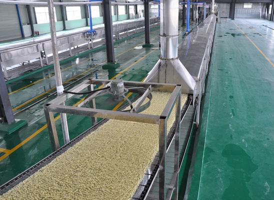 Nouilles frites automatiques d'acier inoxydable faisant la machine avec différentes capacités fournisseur