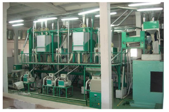 Chaîne de production à grande vitesse de vermicellis consommation de basse énergie/espace fournisseur